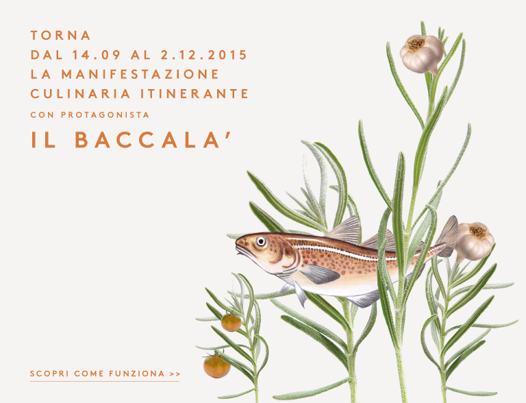 immagine-home-festival-del-baccala