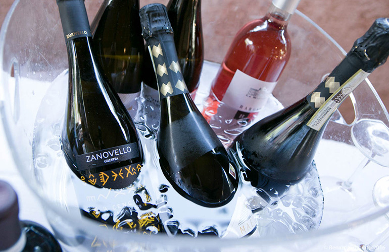 vini-della-strada-del-vino-dei-colli-euganei