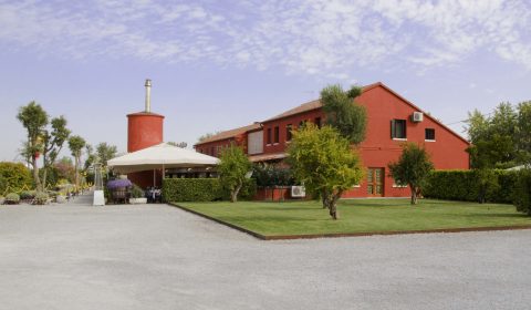 https://www.festivaldelbaccala.it/cms/wp-content/uploads/2016/11/Ristorante-Vecio-Piave_-Festival-Triveneto-del-Baccala-2016_Venezia.jpg